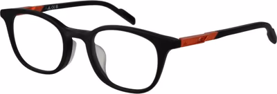 Black Plastic Glasses (Frames)