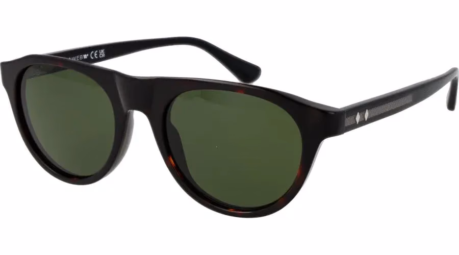 Web Brown Plastic Sunglasses