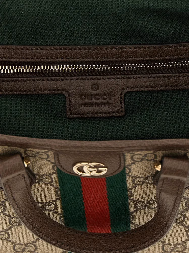 Gucci Multicolor Polyethylene Crossbody Bag