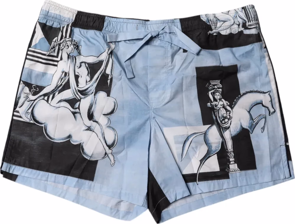 Dolce & Gabbana Blue Statue Print Cotton Mens Shorts
