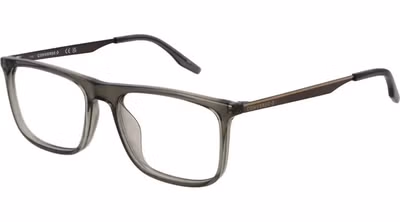 Gray Metal Glasses (Frames)